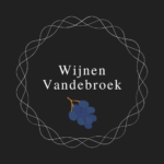 Avada Modern Shop Logo